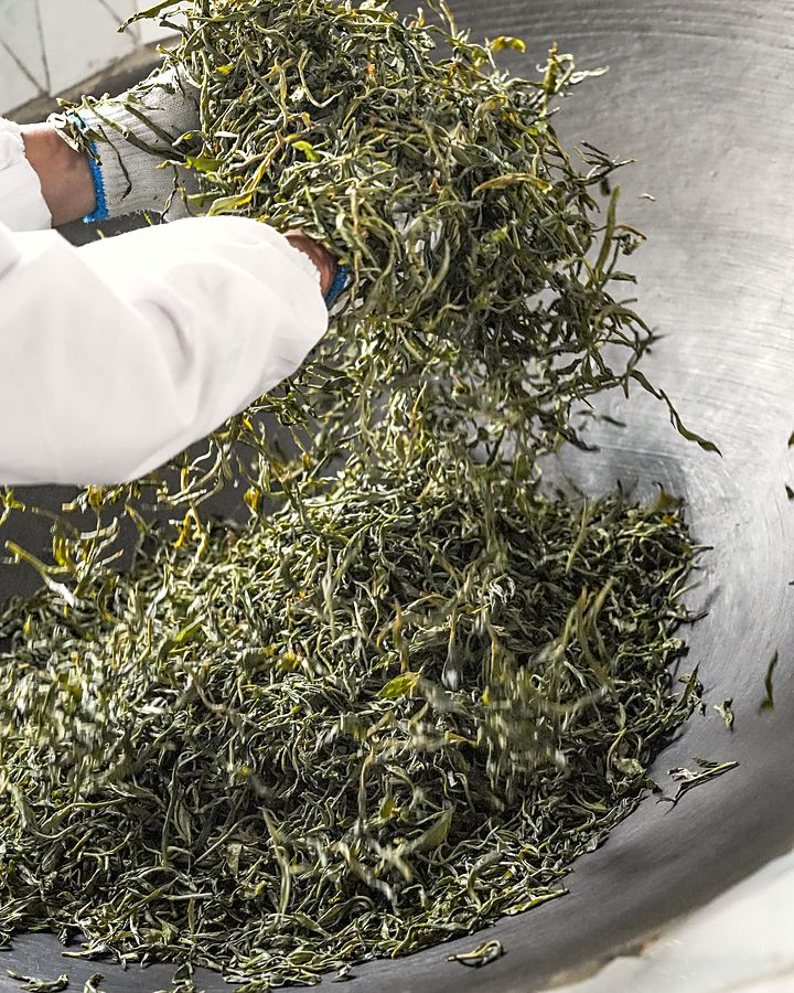 Fixation des feuilles de thé dans un grand wok en fonte
