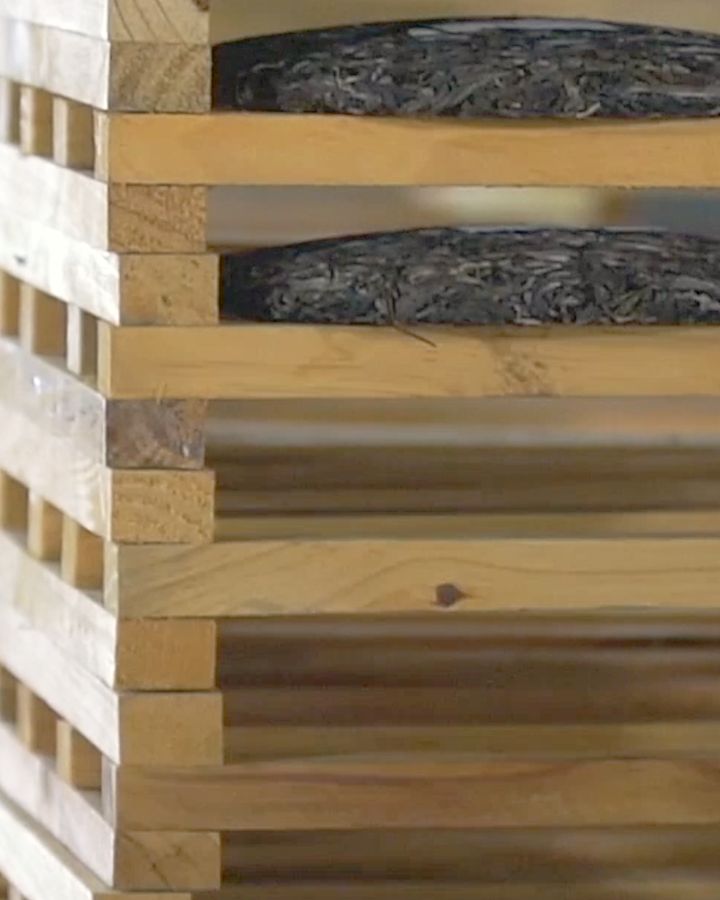 Galettes de pu-erh compressées au repos sur des séchoirs en bois